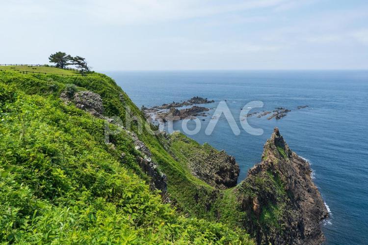 初夏の日本海の岩場と崖の風景（艫作地区） 崖,岩場,海の写真素材