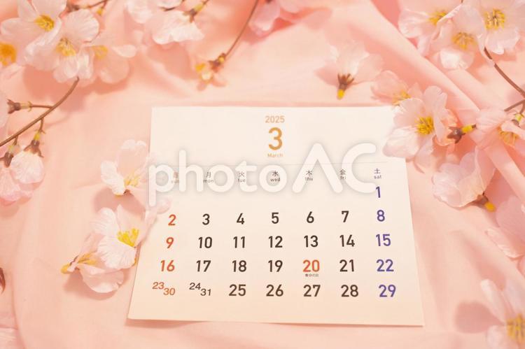 2025年3月のカレンダーと桜 3月,カレンダー,桜の写真素材