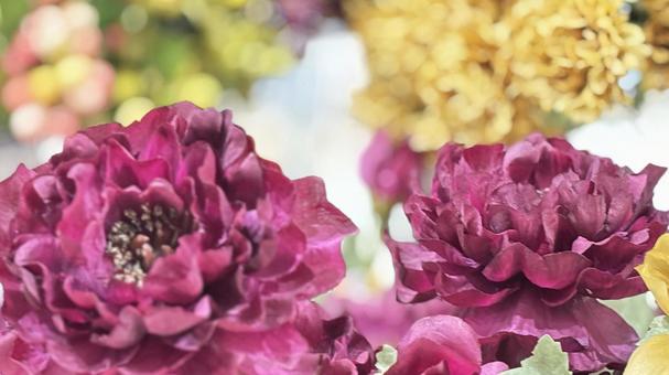 美しい花の背景、コピースペース 花,コピースペース,美しいの写真素材