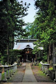 木々と神社 木々と神社の写真