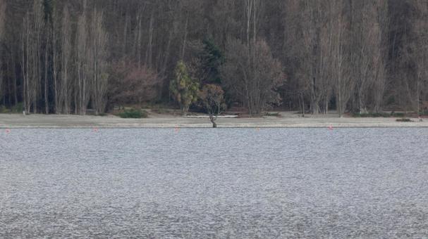 レイクワナカの写真