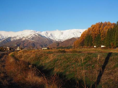 晩秋の白馬の写真