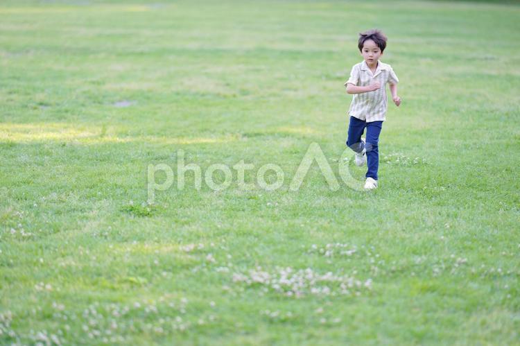 遠くから走ってくる男の子 男の子,芝生,走るの写真素材