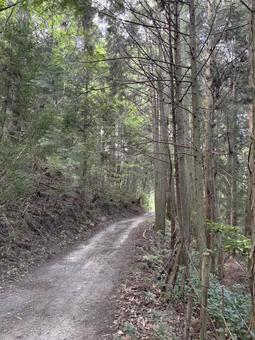 奥に続く山道 奥に続く山道の写真