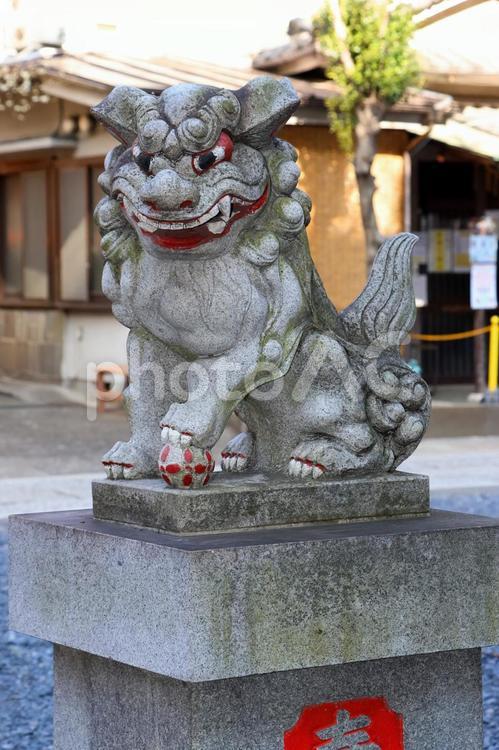 熊野町熊野神社（板橋） 熊野神社,伊佐奈美命,速玉之男命の写真素材