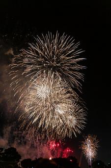 2025年江戸川区花火大会の打上げ花火4 2025年江戸川区花火大会の打上げ花火4 花火,江戸川区花火大会,江戸川の写真素材