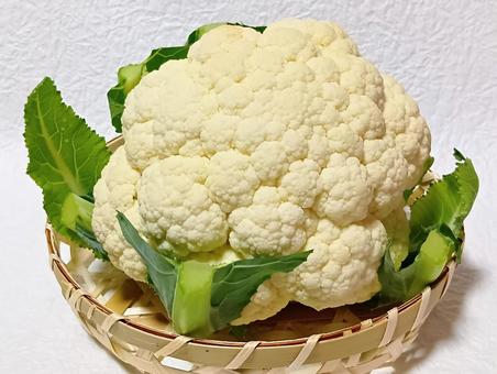カリフラワー カリフラワー カリフラワー,野菜,食材の写真素材