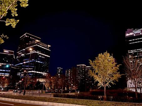 夜の都市の緑 都市,都会,夜の都市の緑の写真素材