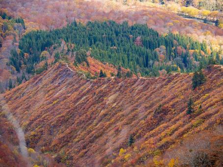 紅葉の平ヶ岳登山道 紅葉の平ヶ岳登山道の写真