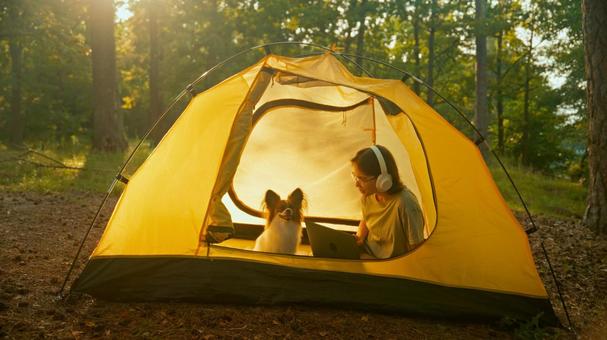 夕日とテントのシルエット 女性,外国人,犬の写真素材