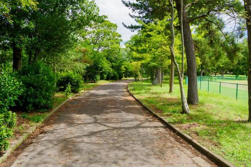 緑地公園の風景⑷ 緑地公園の風景⑷の写真