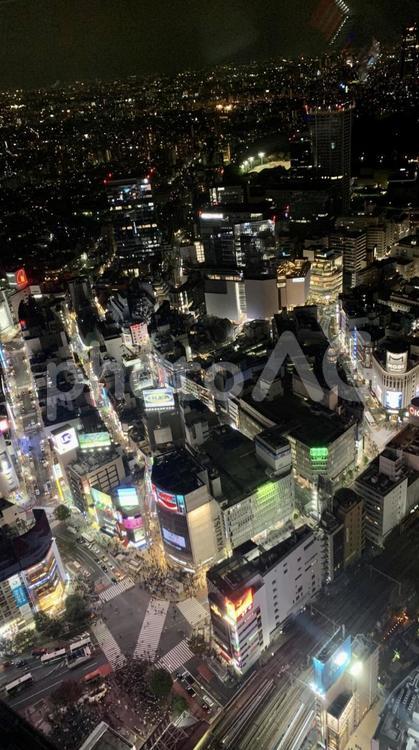 高層ビル　ネオン　町　夜の街並み　都会　風景　夜景 都市,ビル,都市部の写真素材