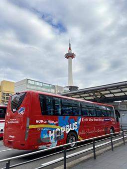 京都タワーと観光バス 京都タワー,観光バス,京都の写真素材