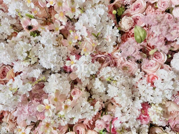 ピンクと白の花　背景 春,背景,ピンクの写真素材