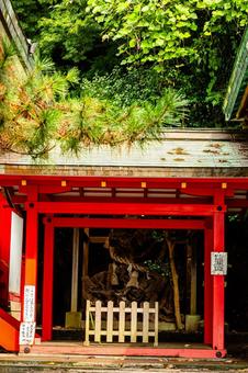 赤間神宮 赤間神宮 赤間神宮,山口県,下関市の写真素材
