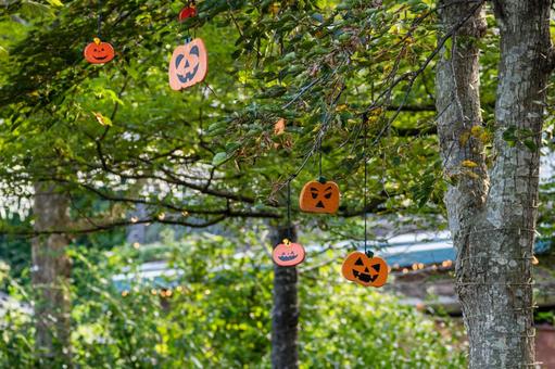 ハロウィンの飾り⑸ ハロウィンの飾り⑸ ハロウィン,飾り,カボチャの写真素材
