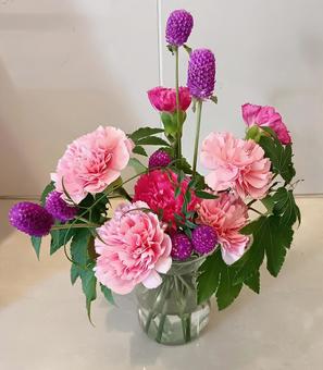 カーネーションと千日紅の投げ入れ カーネーションと千日紅の投げ入れ 花,植物,カーネーションの写真素材