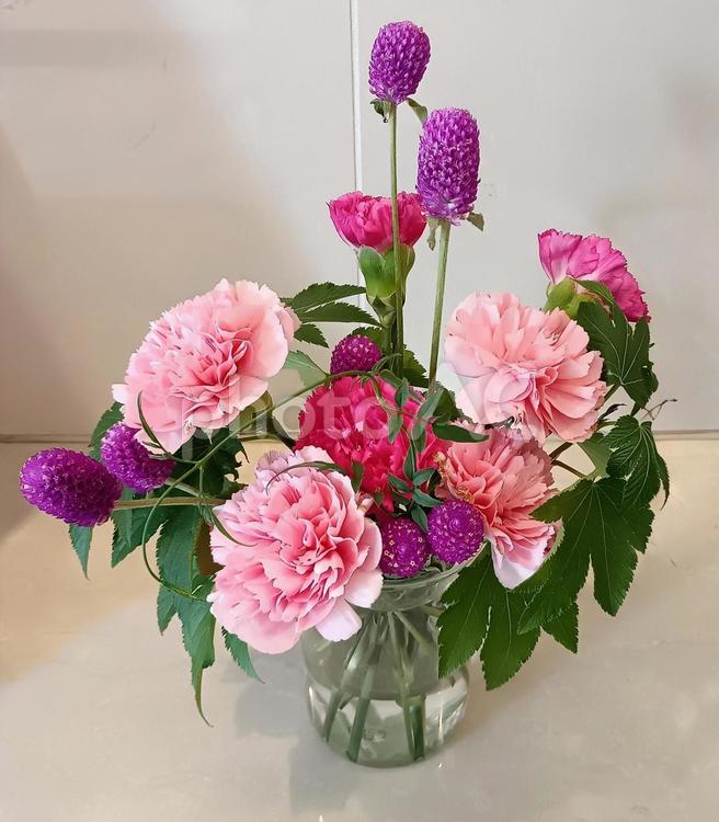 カーネーションと千日紅の投げ入れ 花,植物,カーネーションの写真素材
