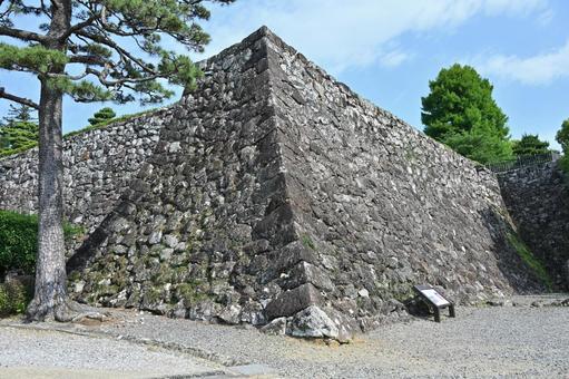 高知城 高知城 高知城,城,高知の写真素材