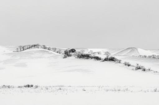 雪の覆われた冬の牧場の陰影 冬の丘,丘陵,雪景色の写真素材