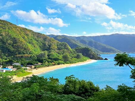 奄美大島　国直海岸 奄美大島,奄美,国直海岸の写真素材