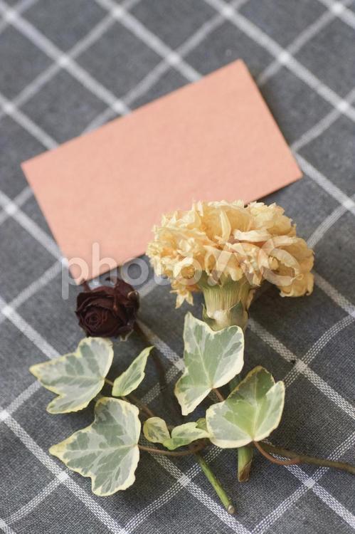 ドライフラワーとメッセージカード ドライフラワー,父の日,母の日の写真素材