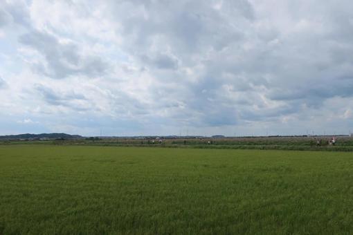 田舎の風景 田舎の風景の写真