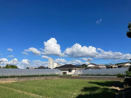 夏の青空と雲 風景,屋外,ふわふわの写真素材