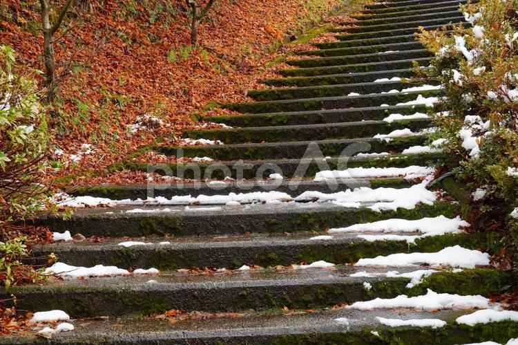 雪が積もってる階段 階段,雪,冬の写真素材
