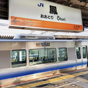 鳳駅に停車中の阪和線普通電車 鳳駅に停車中の阪和線普通電車の写真