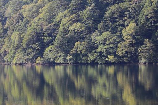 湯ノ湖 湯ノ湖の写真