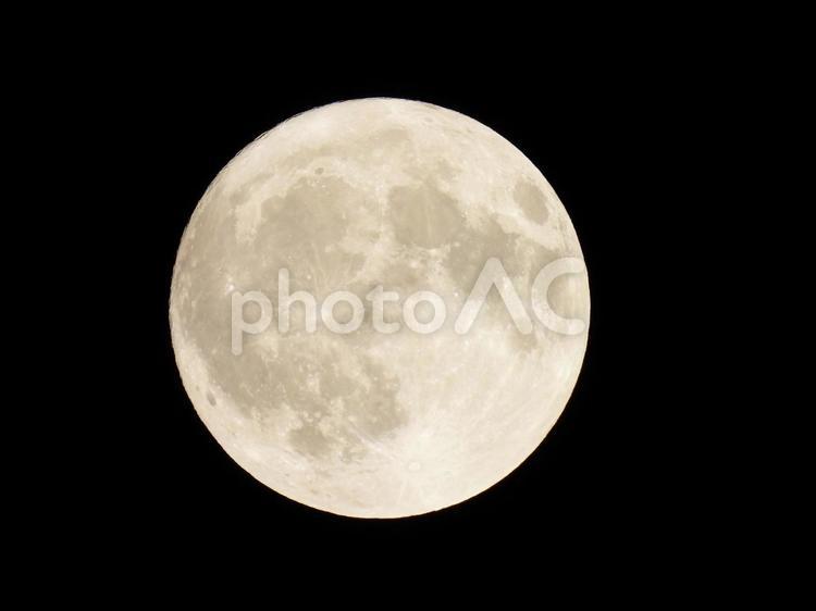 夏の大阪城ホールから見たほぼ満ちた月 月,夜空,きれいの写真素材