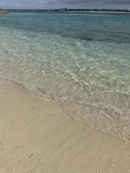 海 海の写真