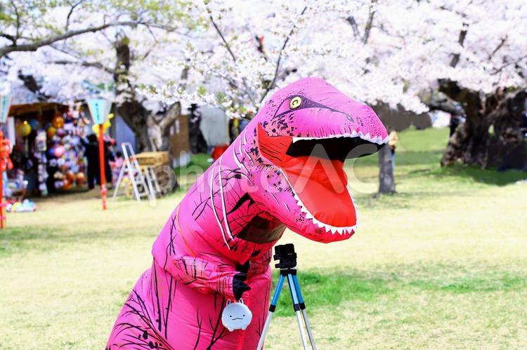 森町桜祭りのイベントの怪獣 屋外,晴天,癒しの写真素材