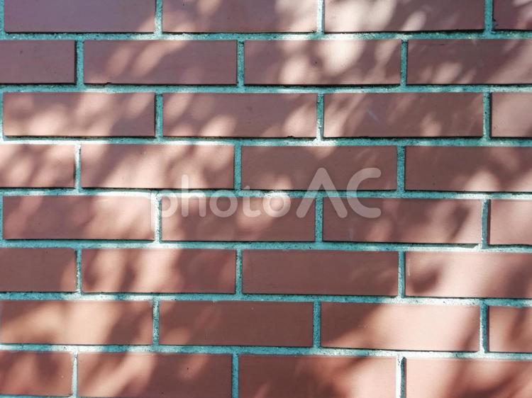 煉瓦と木漏れ日 レンガ,壁,バックグランドの写真素材