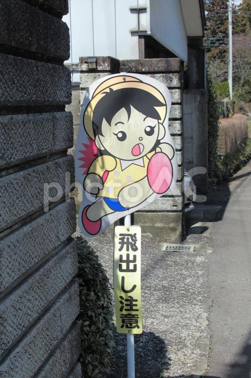 住宅門柱前の飛出し注意の立て札／女の子 立て札,看板,交通の写真素材