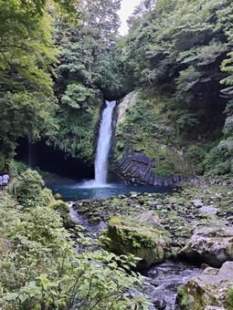 浄蓮の滝 浄蓮の滝 滝,夏,風景の写真素材