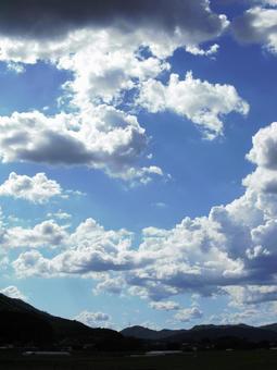 夏空 夏空の写真