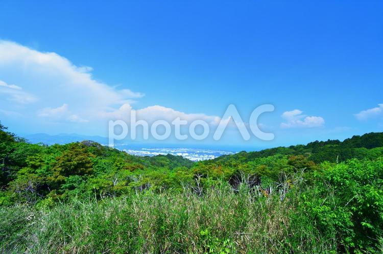 山頂から望む港町　駿河湾の海 山頂から望む港町,山頂,港町の写真素材