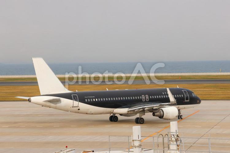 午後の空を見上げる 飛行機,航空機,旅客機の写真素材