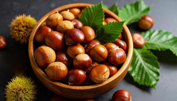 栗 いがぐり 栗 いがぐりの写真