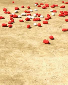 運動会 玉入れの玉 運動会 玉入れの玉 運動会,体育大会,体育祭の写真素材
