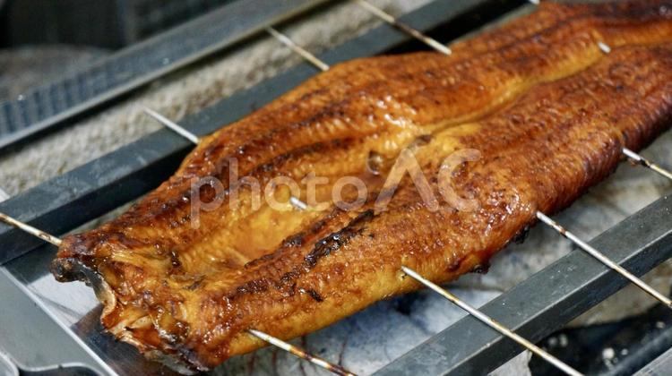 炭火で焼くうなぎの蒲焼き うなぎ,鰻,ウナギの写真素材
