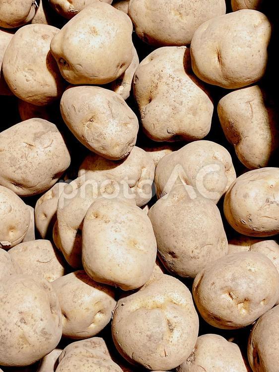 野菜・ジャガイモ ジャガイモ,じゃがいも,ジャガ芋の写真素材