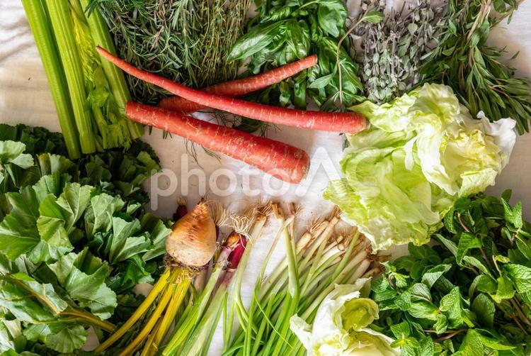 複数の野菜やハーブ 野菜,ニンジン,おかのりの写真素材