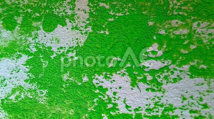 絵の具を塗って・グリーン2 グリーン,絵の具,緑の写真素材