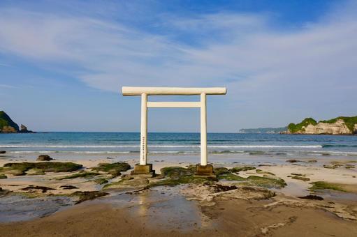 鵜原海岸 鵜原海岸の写真