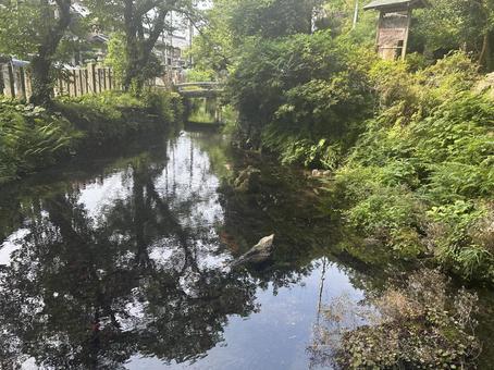 小川 小川の写真