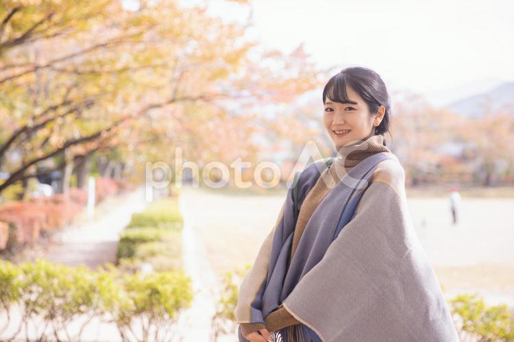 秋の公園にたたずむ女性 秋,紅葉,女性の写真素材