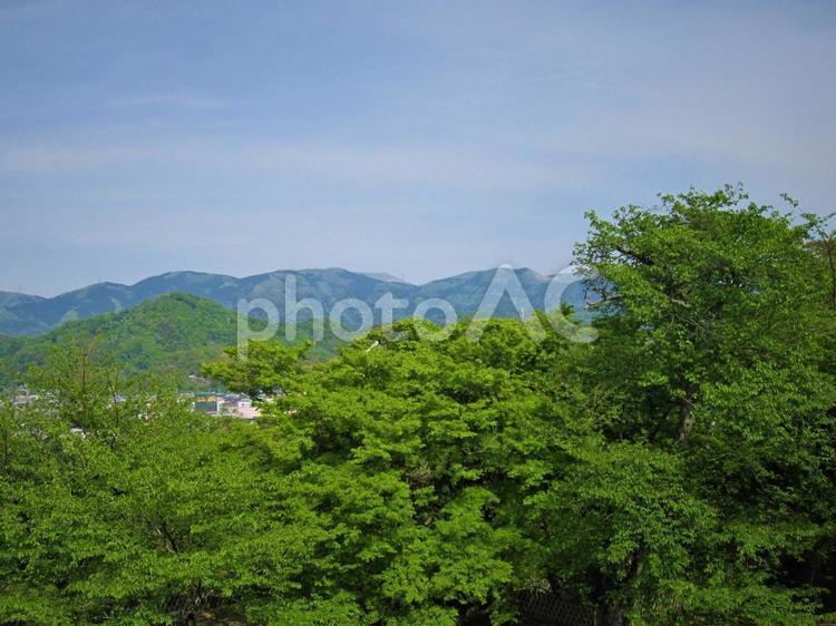 彦根城より市内を一望 滋賀,彦根市街,彦根城の写真素材